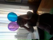 Іра Стадарська фотография #48 (источник - https://vk.com/id107724800)