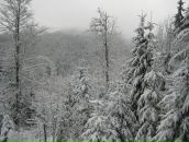 Володимир Підлісний фотография #46 (источник - https://vk.com/id9143845)