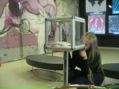 Фотография Baev Sanya