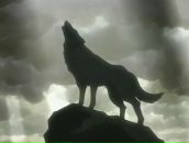 Максим Сірко фотография #39 (источник - https://vk.com/id19056703)