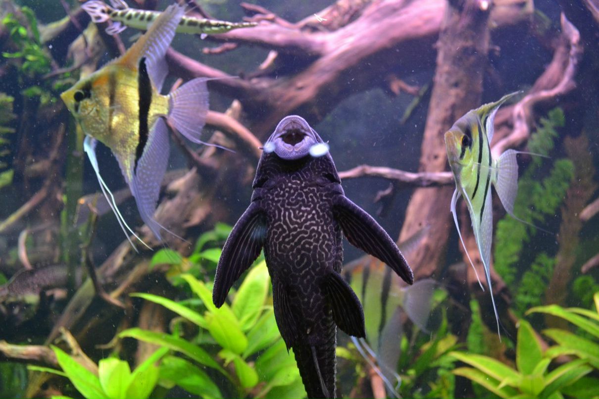 Иван Сотников фотография #37