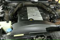 Фотография Смышляева Евгения