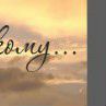 Андрій Сергійович фотография #11 (источник - https://vk.com/id64625552)