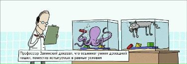 Фотография Matshin Ruslan