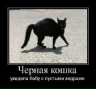 Илья Калинин фотография #22 (источник - https://vk.com/id5203450)