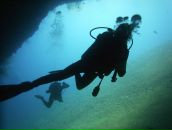 Фотография Сол Полины