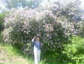 Лідія Лупина фотография #27 (источник - https://vk.com/id150296004)