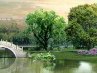 Наталія Сивак фотография #34 (источник - https://vk.com/id58219790)