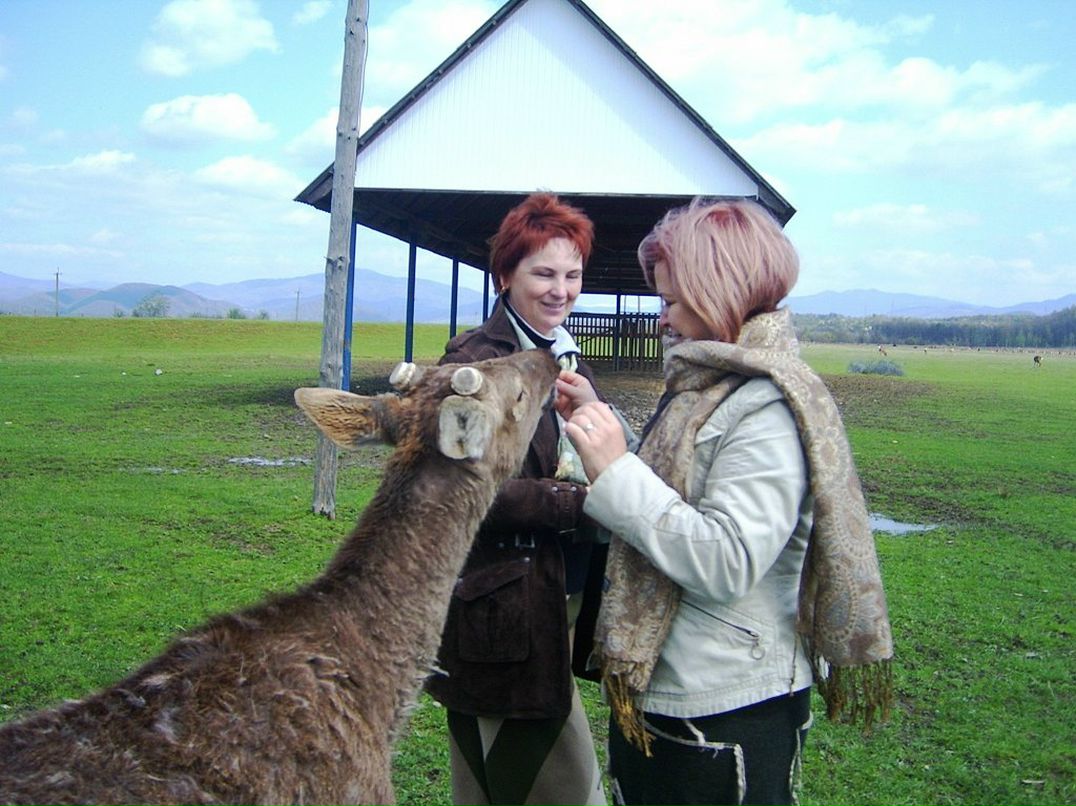 Алла Сабов фотография #23