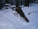 Рома Фамін фотография #48 (источник - https://vk.com/id55941362)