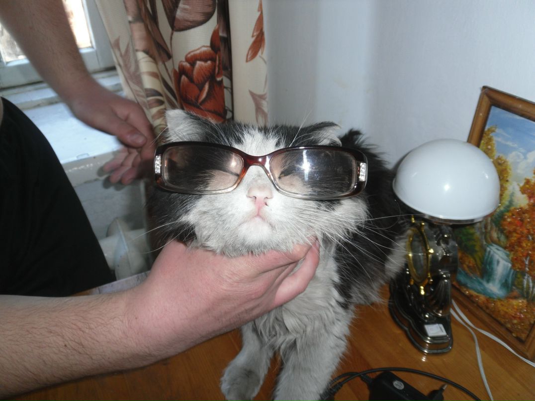 Дмитрий Федонцевич фотография #11