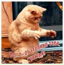 Олег Годунов фотография #11 (источник - https://vk.com/id315008802)