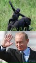 Андрій Конзюба фотография #42 (источник - https://vk.com/id126428404)