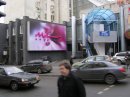Βера Κолобова фотография #15 (источник - https://vk.com/id59479119)