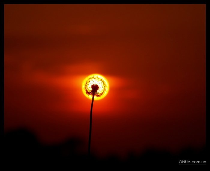 Дмитрий Никитин фотография #27