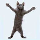 Фотография Носова Елена