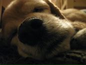 Фотография Исуповой Анны