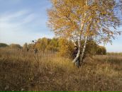 Фотография Лоскутовой Анастасии