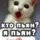 Ірина Бурак фотография #45 (источник - https://vk.com/id41730432)
