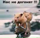 Анатолій Анохін фотография #48 (источник - https://vk.com/id119406416)