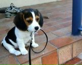 Фотография Николаевой Надюшки