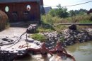Крістіна Карпишинець фотография #17 (источник - https://vk.com/id56354651)