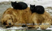 Иришка Венцова фотография #8 (источник - https://vk.com/id4664078)