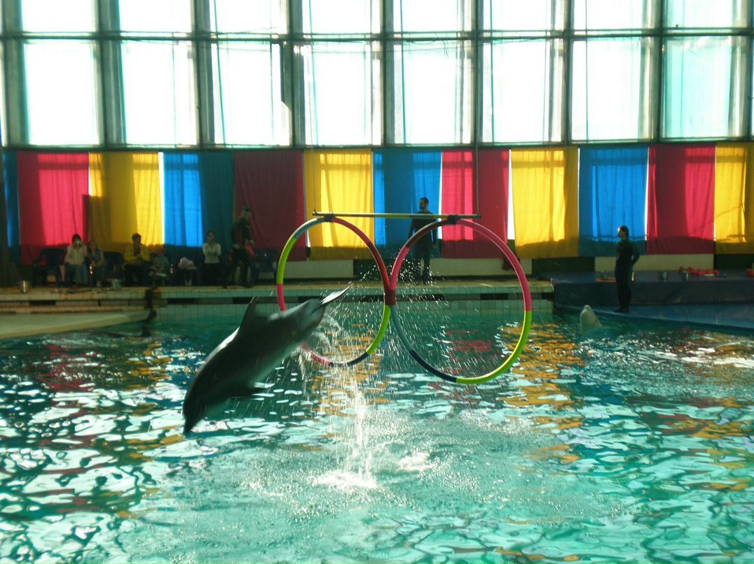 Ирина Мальцева фотография #42