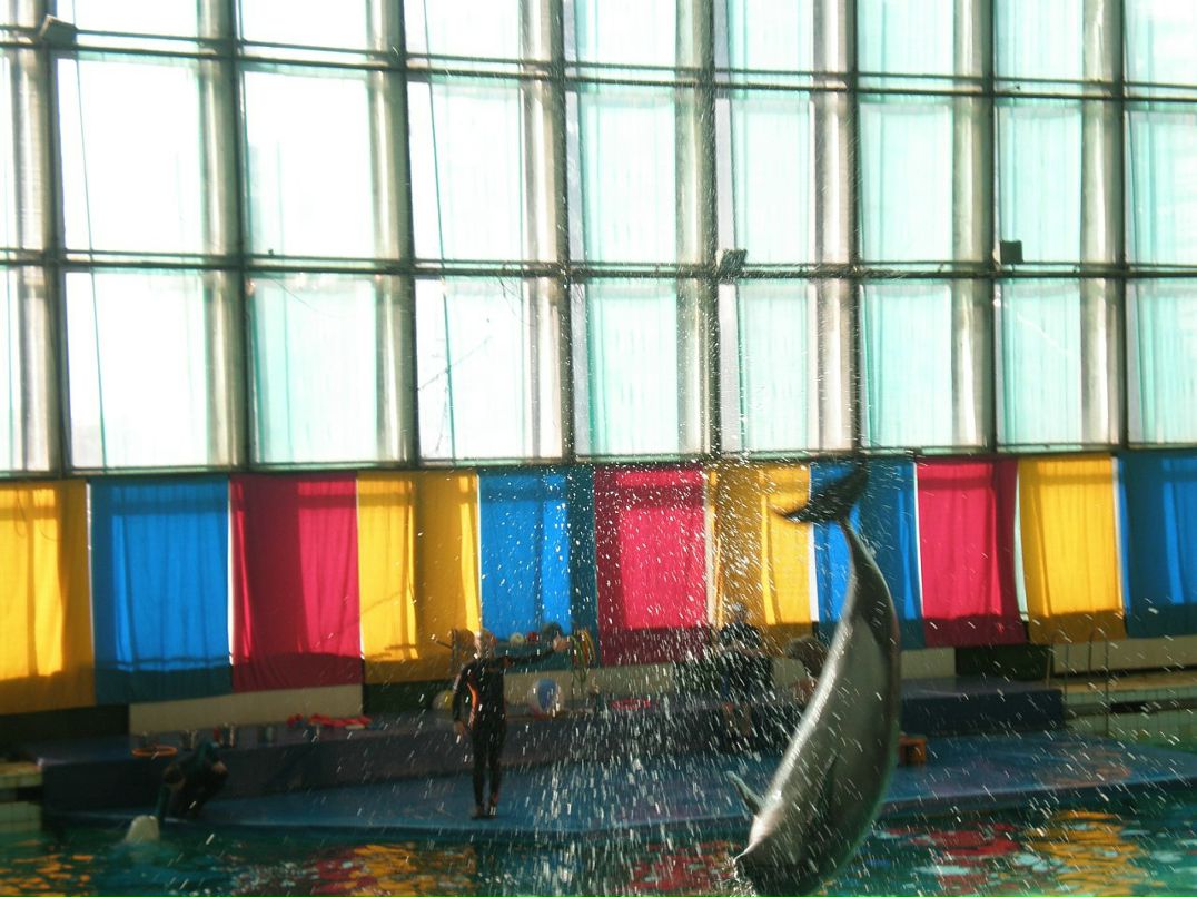 Ирина Мальцева фотография #39