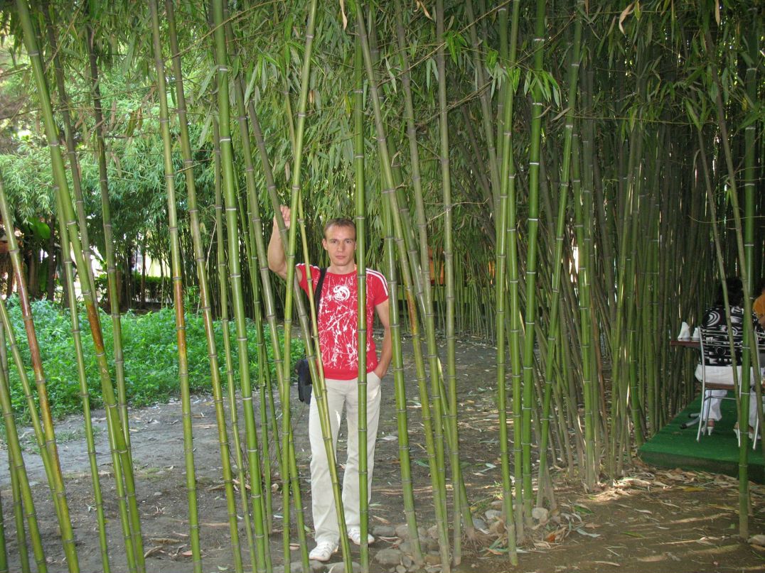 Дмитрий Янченко фотография #50