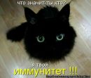 Фотография Улькиной Анны