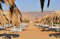 Фотография Тарапат Ирины