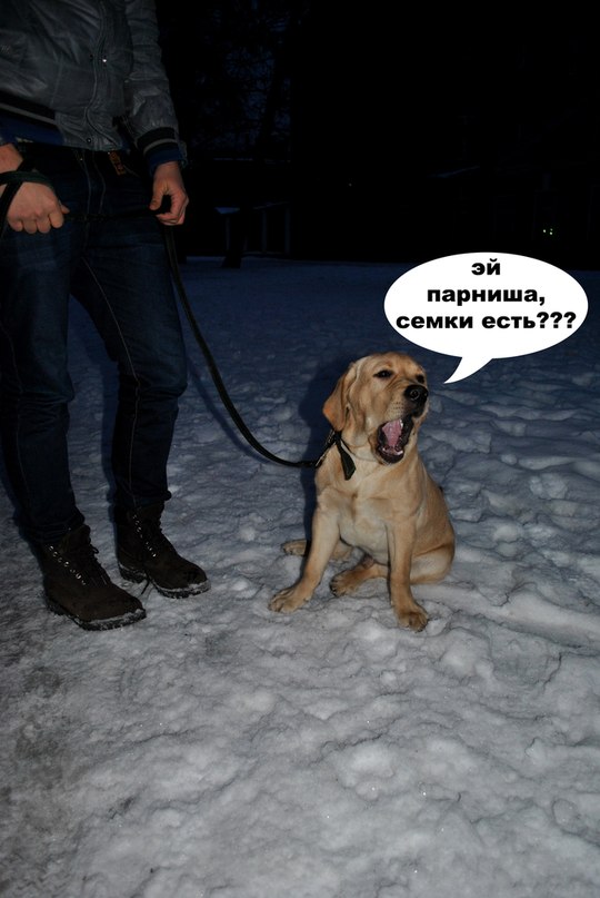 Vasya Mardinsky фотография #6