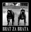 Фотография Кокурина Артема