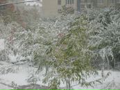 Ірина Балюк фотография #35 (источник - https://vk.com/id22538703)