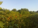Вова Ощіпко фотография #31 (источник - https://vk.com/id64725398)