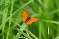 Виталий Маланин фотография #42 (источник - https://vk.com/id698311)