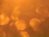 Фотография Тополовой Надежды