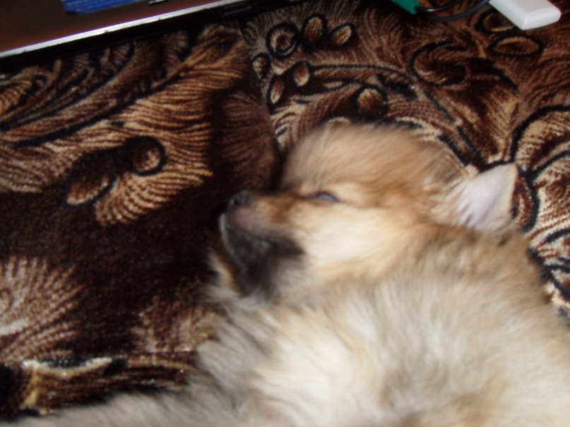 Дарья Ионова фотография #1