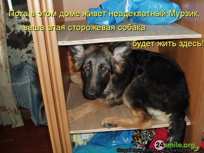 Ivan Vik фотография #18