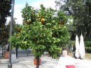 Ірина Ладанівська фотография #40 (источник - https://vk.com/id69941456)