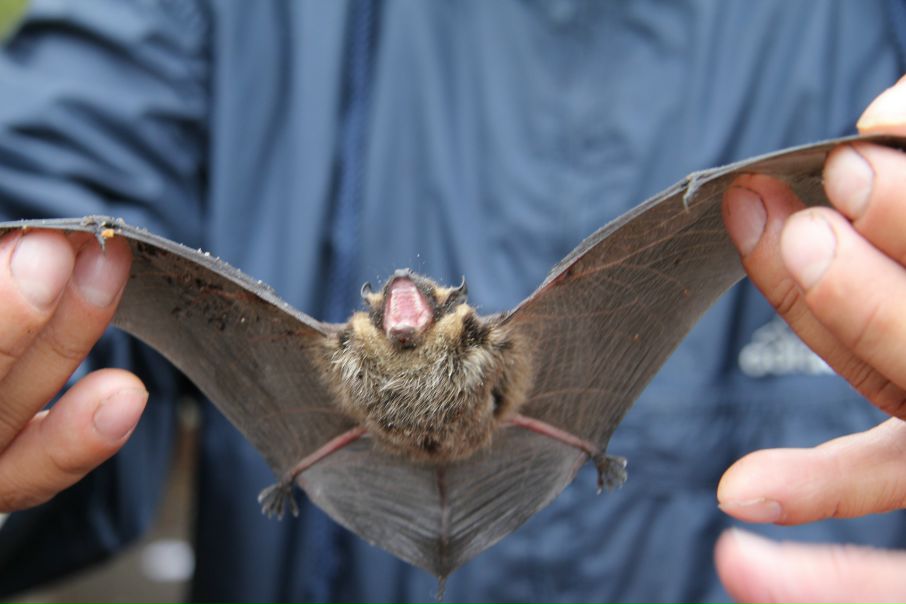 Эдуард Холодов фото №13