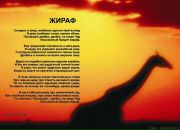 Фотография Гафуровой Лианы