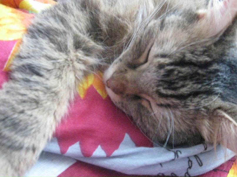 Катя Fr фотография #22