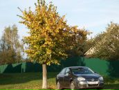 Сергей Мозырь фотография #2 (источник - https://vk.com/id264024)