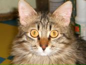 Фотография Иванова Андрея