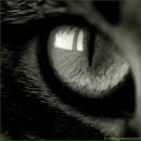 Фотография Васильевой Александры