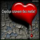 Віталій Панасюк фотография #7 (источник - https://vk.com/id89013048)