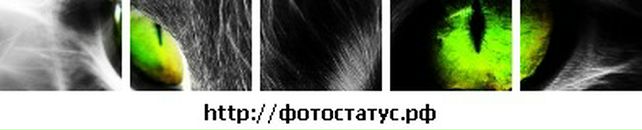 Діма Ілюшик фотография #17 (источник - https://vk.com/id98194043)