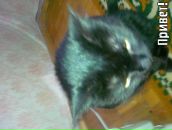 Фотография Ершова Александра